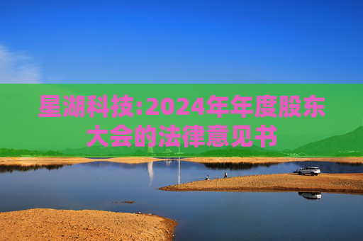 星湖科技:2024年年度股东大会的法律意见书