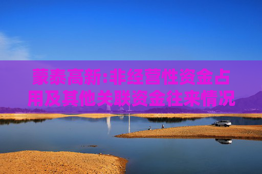蒙泰高新:非经营性资金占用及其他关联资金往来情况的专项审核说明