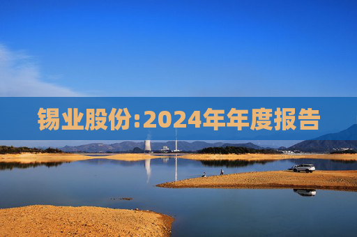 锡业股份:2024年年度报告