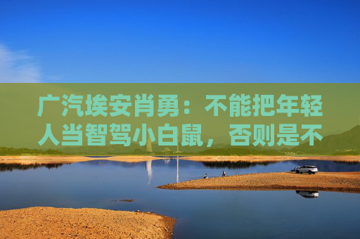 广汽埃安肖勇：不能把年轻人当智驾小白鼠，否则是不讲良心