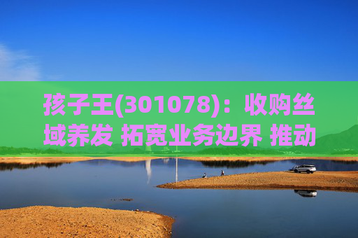 孩子王(301078)：收购丝域养发 拓宽业务边界 推动产业协同发展