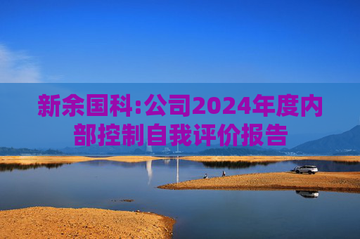 新余国科:公司2024年度内部控制自我评价报告  第1张