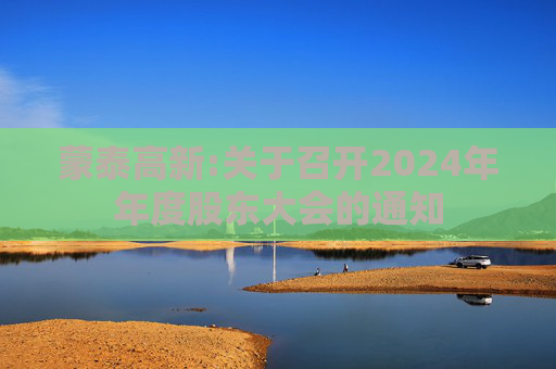 蒙泰高新:关于召开2024年年度股东大会的通知