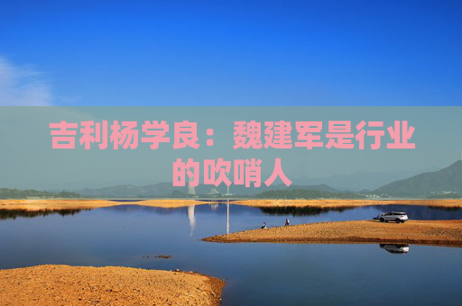 吉利杨学良：魏建军是行业的吹哨人