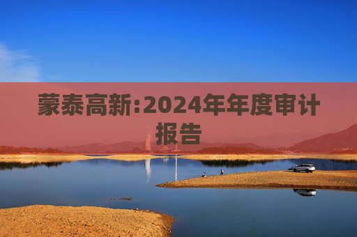蒙泰高新:2024年年度审计报告