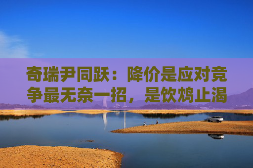 奇瑞尹同跃：降价是应对竞争最无奈一招，是饮鸩止渴