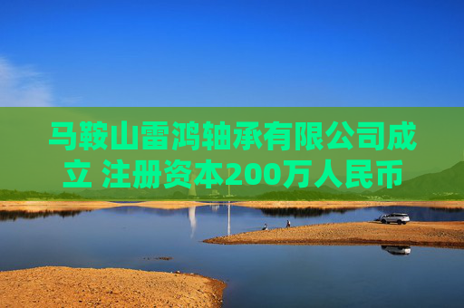 马鞍山雷鸿轴承有限公司成立 注册资本200万人民币