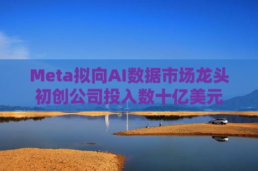 Meta拟向AI数据市场龙头初创公司投入数十亿美元