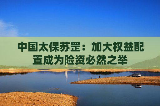 中国太保苏罡：加大权益配置成为险资必然之举