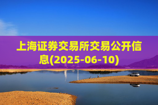 上海证券交易所交易公开信息(2025-06-10)