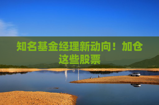 知名基金经理新动向！加仓这些股票