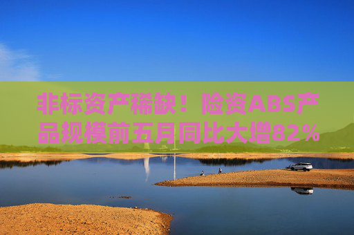 非标资产稀缺！险资ABS产品规模前五月同比大增82%