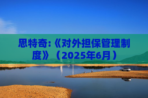 思特奇:《对外担保管理制度》（2025年6月）