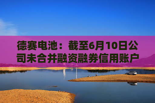 德赛电池：截至6月10日公司未合并融资融券信用账户的股东总户数是63497户