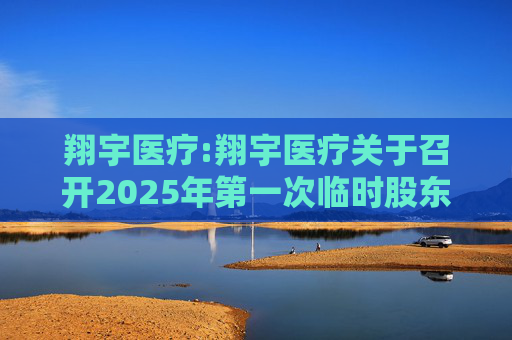 翔宇医疗:翔宇医疗关于召开2025年第一次临时股东大会的通知