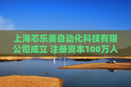 上海芯乐美自动化科技有限公司成立 注册资本100万人民币  第1张