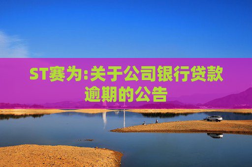 ST赛为:关于公司银行贷款逾期的公告