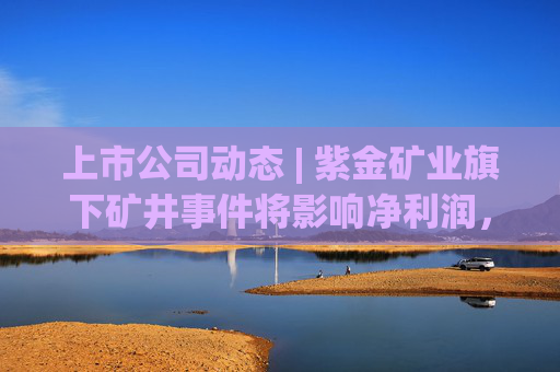 上市公司动态 | 紫金矿业旗下矿井事件将影响净利润，上海超硅、恒运昌科、百菲乳业IPO获受理，道生天合主板IPO过会