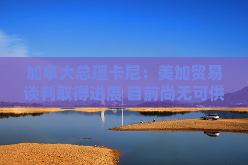 加拿大总理卡尼：美加贸易谈判取得进展 目前尚无可供签署的协议