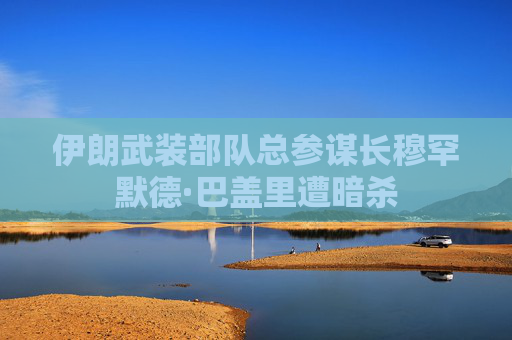 伊朗武装部队总参谋长穆罕默德·巴盖里遭暗杀  第1张