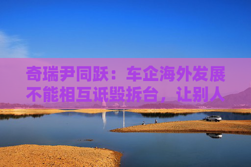 奇瑞尹同跃：车企海外发展不能相互诋毁拆台，让别人笑话  第1张