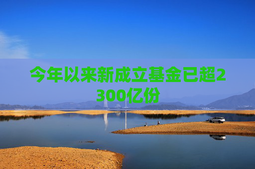 今年以来新成立基金已超2300亿份  第1张