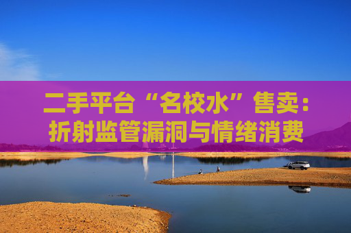 二手平台“名校水”售卖：折射监管漏洞与情绪消费