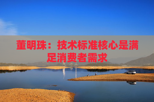 董明珠：技术标准核心是满足消费者需求