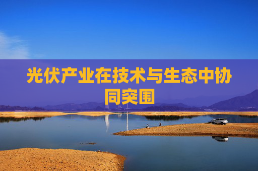光伏产业在技术与生态中协同突围  第1张