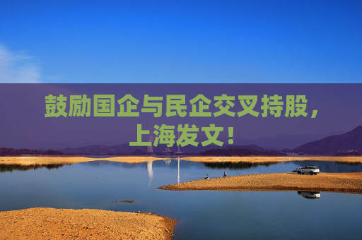 鼓励国企与民企交叉持股，上海发文！