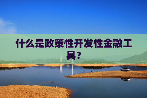 什么是政策性开发性金融工具？