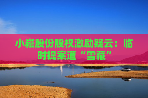 小崧股份股权激励疑云：临时提案遭“雪藏”