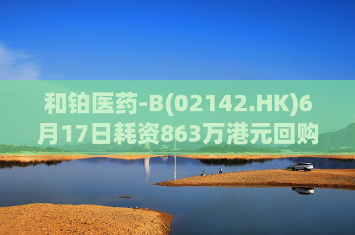 和铂医药-B(02142.HK)6月17日耗资863万港元回购110万股