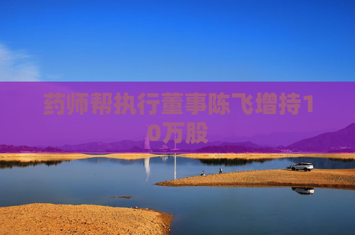 药师帮执行董事陈飞增持10万股