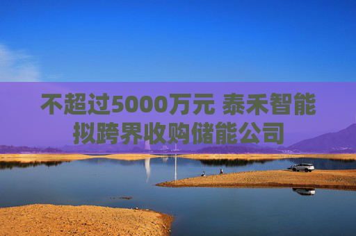 不超过5000万元 泰禾智能拟跨界收购储能公司