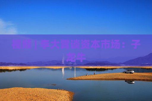 视频 | 李大霄谈资本市场：子龙牛