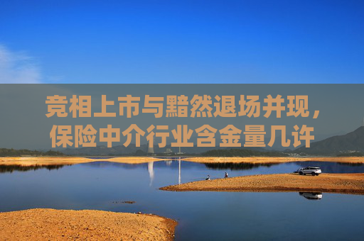 竞相上市与黯然退场并现，保险中介行业含金量几许