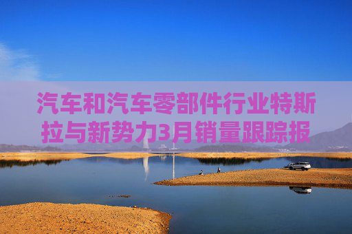 汽车和汽车零部件行业特斯拉与新势力3月销量跟踪报告:1Q25特斯拉交付同比回落 3月新势力销量同环比提升 第1张 汽车和汽车零部件行业特斯拉与新势力3月销量跟踪报告:1Q25特斯拉交付同比回落 3月新势力销量同环比提升 第1张