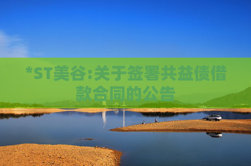 *ST美谷:关于签署共益债借款合同的公告