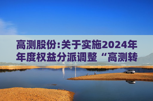 高测股份:关于实施2024年年度权益分派调整“高测转债”转股价格的公告