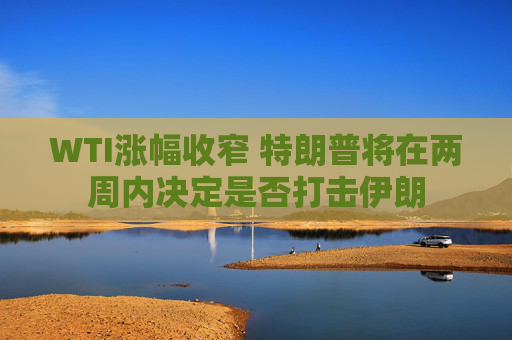 WTI涨幅收窄 特朗普将在两周内决定是否打击伊朗