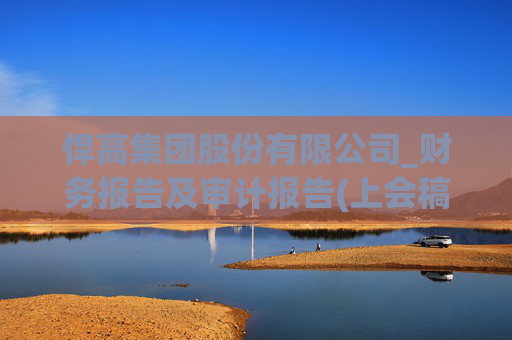 悍高集团股份有限公司_财务报告及审计报告(上会稿)