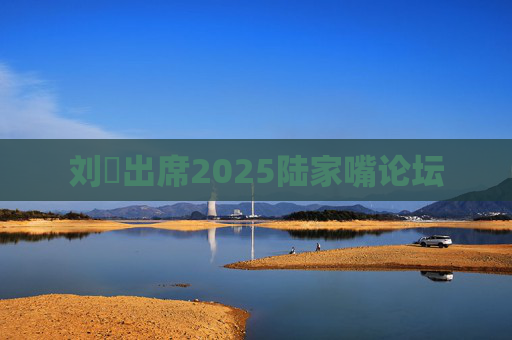 刘珺出席2025陆家嘴论坛