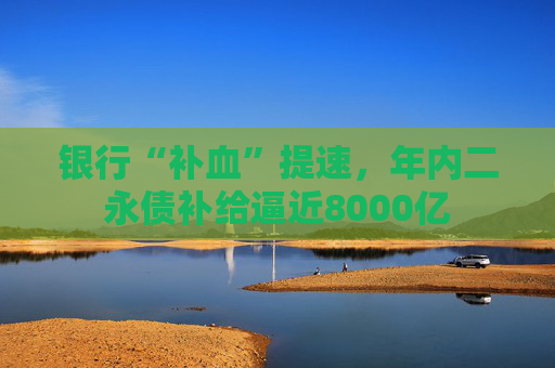 银行“补血”提速，年内二永债补给逼近8000亿