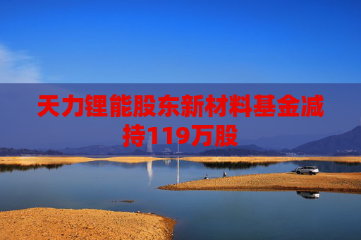 天力锂能股东新材料基金减持119万股