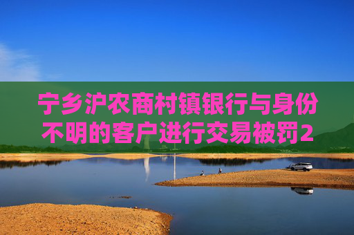 宁乡沪农商村镇银行与身份不明的客户进行交易被罚20万元