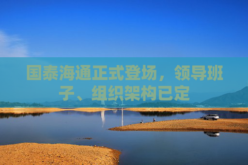 国泰海通正式登场，领导班子、组织架构已定