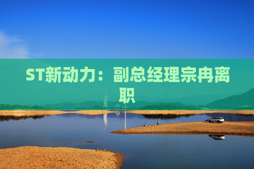 ST新动力：副总经理宗冉离职