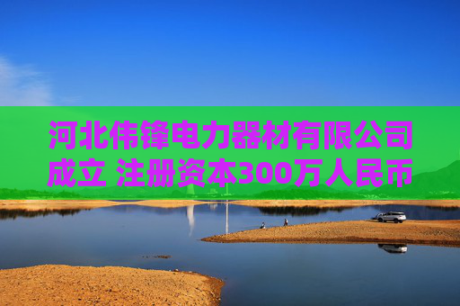 河北伟锋电力器材有限公司成立 注册资本300万人民币