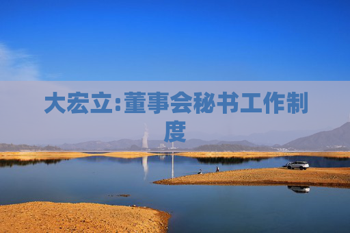 大宏立:董事会秘书工作制度